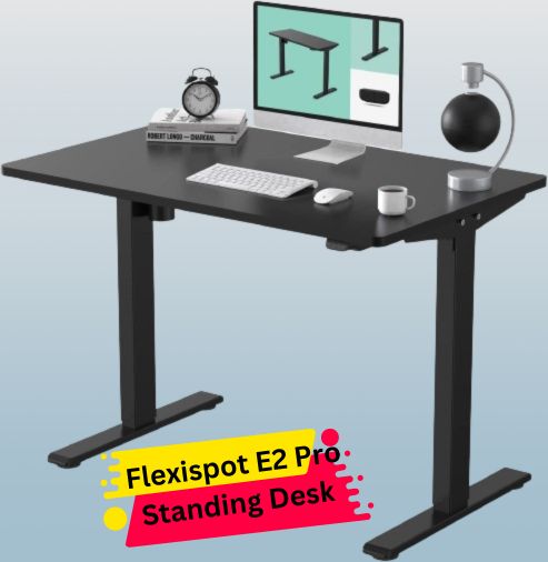 Flexispot E2 Pro Standing Desk