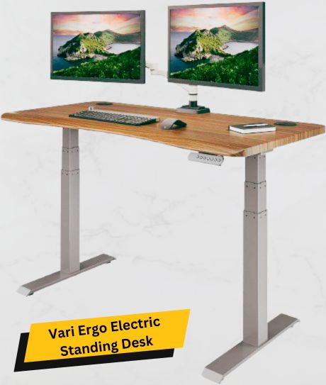 Vari Ergo Electric Standing Desk