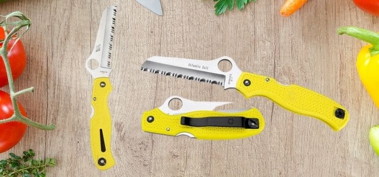 Atlantic Salt Rust Free Serrated Edge Knife