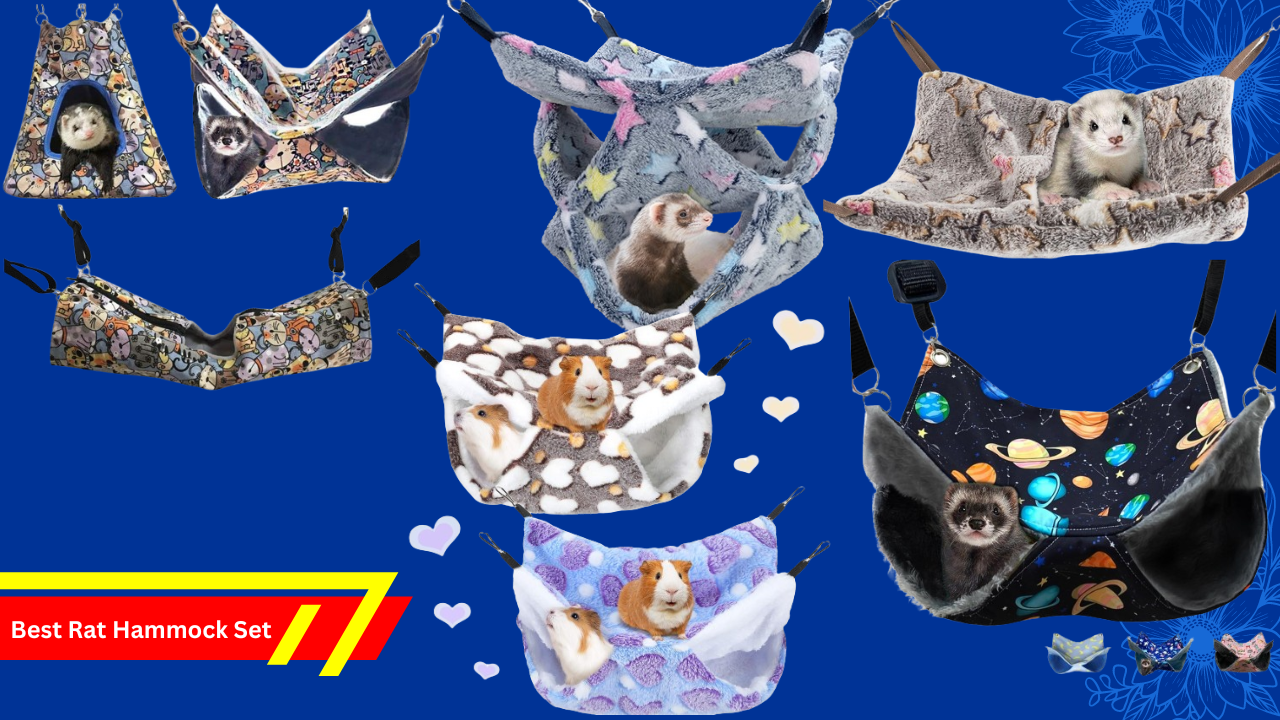 Best Rat Hammock Set
