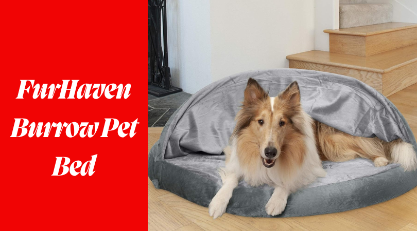 FurHaven Burrow Pet Bed