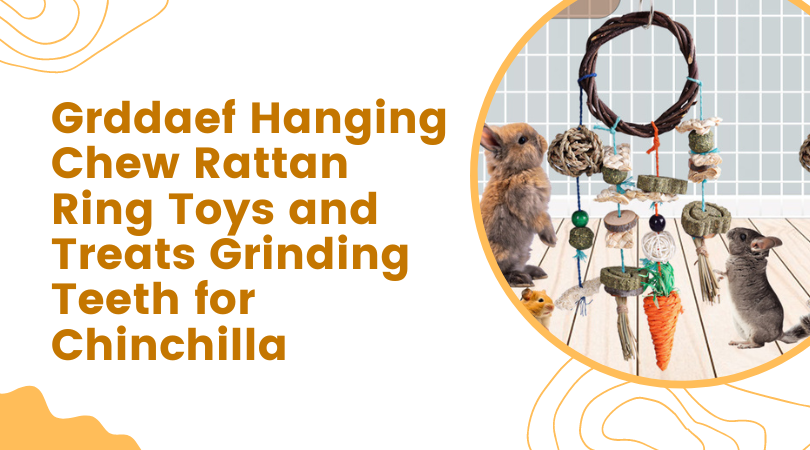 Grddaef Hanging Chew Rattan Ring Toys and Treats Grinding Teeth for Chinchilla