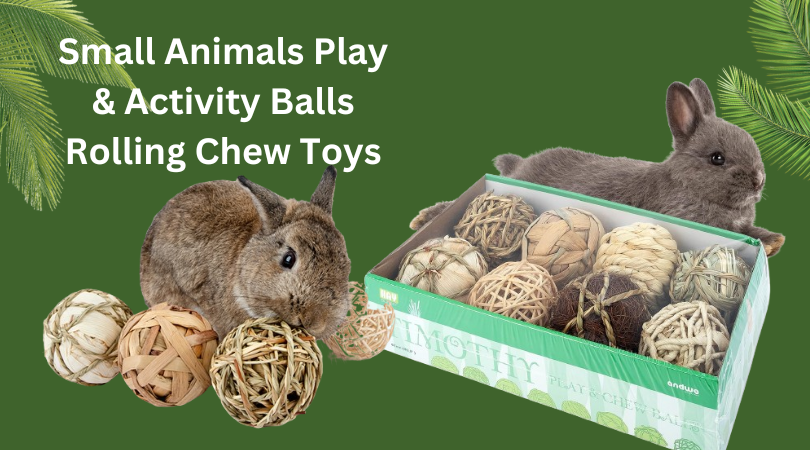 Small Animals Play & Activity Balls Rolling Chew Toys
